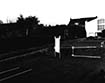 transit